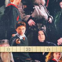 Harry Potter Jersey - 19,80 EUR/m - Hermine - Ron - Dumbledore - Hagrid - Snape - McGonagal - Lizenzstoff Bild 4