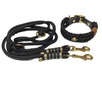Leine Halsband Set verstellbar, für kleine Hunde, schwarz, gold, mit Totenkopf, ab 20 cm Halsumfang Bild 2