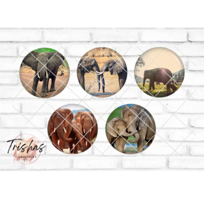 Glas Cabochon mit Motiv Elefant Elefanten Tiere, Fotocabochon, Handmade Cabochon, verschiedene Größen, Motivcabochon