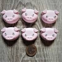 6 Schweine Raysin mit Wackelaugen, Glücksschwein, Glücksbringer, Silvester, Neujahr, 2023 Bild 1
