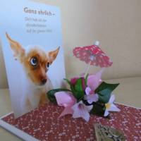 Geschenk - Dich hab ich am allerallerliebsten ... Chiwawa - Chihuahua - Hund - Geschenkidee Bild 4