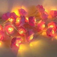 Romantische Feenlichter 20er Rosen Lichterkette in Pink Bild 1