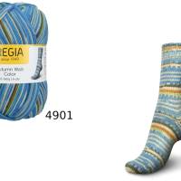 66,33 € / 1 kg  Schachenmayr/Regia ’Autumn Walk Color’ 6-fädig/6-fach Sockenwolle/Wolle in sechs Farbvarianten Bild 3