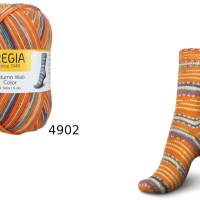 66,33 € / 1 kg  Schachenmayr/Regia ’Autumn Walk Color’ 6-fädig/6-fach Sockenwolle/Wolle in sechs Farbvarianten Bild 4