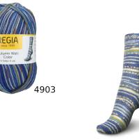 66,33 € / 1 kg  Schachenmayr/Regia ’Autumn Walk Color’ 6-fädig/6-fach Sockenwolle/Wolle in sechs Farbvarianten Bild 5