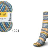 66,33 € / 1 kg  Schachenmayr/Regia ’Autumn Walk Color’ 6-fädig/6-fach Sockenwolle/Wolle in sechs Farbvarianten Bild 6