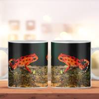 Kaffeetasse mit Frosch Motiv, Geschenke für Kaffeeliebhaber, bedruckte Teetasse als Geschenk, spülmaschinenfest Bild 1
