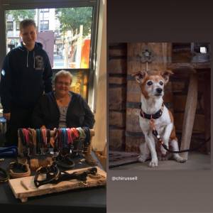 Hundehalsband Tauhalsband "Falkenstein" handgemacht hochwertige Materialien passende Leinen Bild 6
