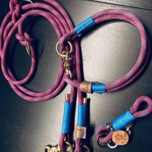 Hundehalsband Tauhalsband "Falkenstein" handgemacht hochwertige Materialien passende Leinen Bild 7