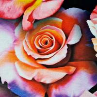 Stoff Baumwolle "Rosen" schwarz bunt Digitaldruck Leinenoptik Bild 3