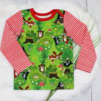 Gr. 98 Maulwurf Halli Galli Longeleeve amerikanischer Ausschnitt Pullover Langarmshirt Kindershirt handmade grün / rot Bild 1