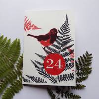 Drei Weihnachtskarten / Klappkarten mit Rotkehlchen in Rotweiß Bild 1