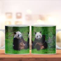 Bedruckte Tasse aus Keramik mit Panda Bären Motiv | Kaffeetasse als Geschenkidee | spülmaschinenfeste Keramiktasse Bild 1