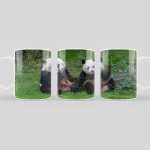 Bedruckte Tasse aus Keramik mit Panda Bären Motiv | Kaffeetasse als Geschenkidee | spülmaschinenfeste Keramiktasse Bild 2