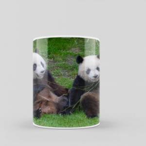 Bedruckte Tasse aus Keramik mit Panda Bären Motiv | Kaffeetasse als Geschenkidee | spülmaschinenfeste Keramiktasse Bild 4