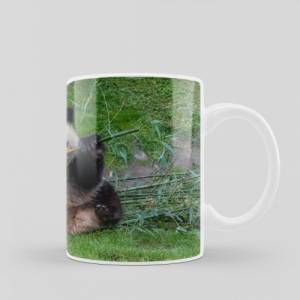 Bedruckte Tasse aus Keramik mit Panda Bären Motiv | Kaffeetasse als Geschenkidee | spülmaschinenfeste Keramiktasse Bild 5
