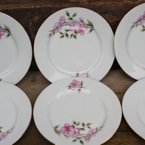 6 Kuchenteller Frühstücksteller Thun Czechoslovakia Angelika Vintage