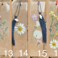Fleurs - Natur-inspirierte Lesezeichen mit echten Blüten auf Kraftpapier und Muscheln an handgefertigten Quasten Bild 4