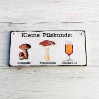 Kleine Pilskunde: Steinpilz Fliegenpilz Glückspilz Holzschild Bier Bierprobe  Türschild Dekoschild Bild 2