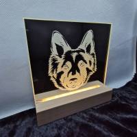 Lasergravur auf Glasspiegel mit Licht: Hunde, Faultier, Lama, Tiger, Elch Bild 2