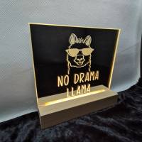 Lasergravur auf Glasspiegel mit Licht: Hunde, Faultier, Lama, Tiger, Elch Bild 7