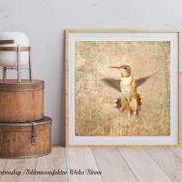 KOLIBRI SEPHIA Wandbild im Landhausstil auf Holz Leinwand oder Fineartprint Bild Vogel Shabby Chic Vintage Style kaufen Bild 4