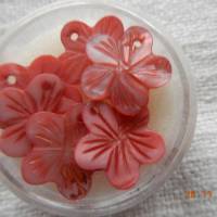 1 Döschen Perlmutperlen in Blütenform Bild 2
