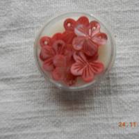 1 Döschen Perlmutperlen in Blütenform Bild 4