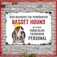 Hundeschild VERWÖHNTER HUND (Basset Hound) mit Hundename, wetterbeständiges Warnschild Bild 2