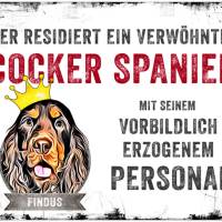 Hundeschild VERWÖHNTER HUND (Cocker Spaniel) mit Hundename, wetterbeständiges Warnschild Bild 1