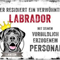 Hundeschild VERWÖHNTER HUND (Labrador) mit Hundename, wetterbeständiges Warnschild Bild 1