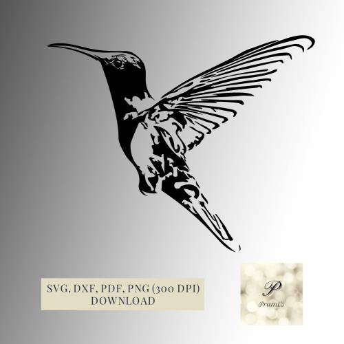 Plotterdatei Kolibri SVG Datei für Cricut, Kolibri SVG Design  Digital Download für  Bastel- und Plotterprojekte,