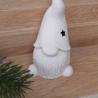 Deko Wichtel aus Raysin ~ Wichtel mit Stern zum dekorieren ~ Gnome ~  Weihnachten Bild 1