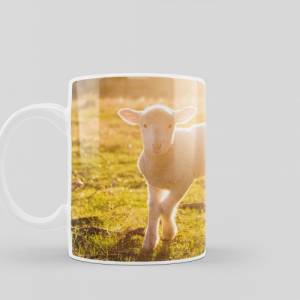Bedruckte Keramiktasse Fuchs und Lamm für Kaffee- und Teeliebhaber | spülmaschinenfeste Tasse mit Motiv | Geschenkidee Bild 3