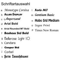 Buchstaben in Edelstahl Optik für Innen und Außen, Namen, Schriftzug aus 3mm Aluverbund-Material. Bild 2