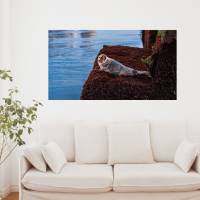 Seehund auf Helgoland, Foto Datei zum selber drucken, Abmessung Breite 110 cm, Höhe 60 cm Bild 1