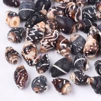 100 Muschel-Perlen 8 - 16 mm Naturperlen kokosnussbraun weiß Bild 1
