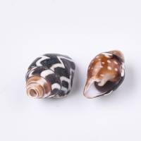 100 Muschel-Perlen 8 - 16 mm Naturperlen kokosnussbraun weiß Bild 2