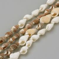 100 Muschel-Perlen Mix 10 - 18 mm Naturperlen weiß beige hellbraun braun Bild 1