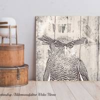 EULE RUSTIKAL Waldtiere Vögel Wandbild auf Holz Leinwand Kunstdruck Wanddeko Baum Borke Landhausstil Shabby Chic kaufen Bild 2