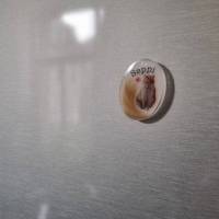 Kühlschrankmagnet personalisiert, Kühlschrank Magnet oval mit Name, Haaren und Foto oder Bild Bild 2