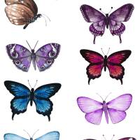 2x Sticker Sheets, Schmetterlinge, Aufkleber Planner Stickers, Scrapbook Stickers Bild 3