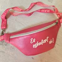 Unikat / Trendy Crossbag / Crossbody / HipBag / Bauchtasche / Gürteltasche / Umhängetasche aus Kunstleder in Pink Bild 4