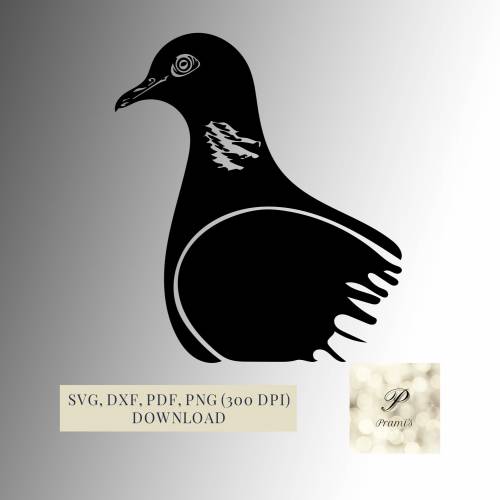 Plotterdatei Taube SVG Datei für Cricut, Tauben Design  Digital Download schönes Vogel Motiv