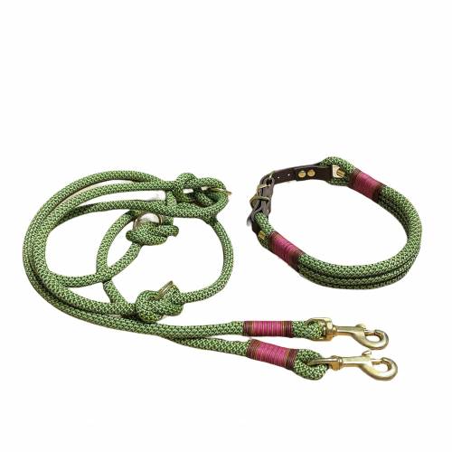 Hundeleine und Halsband Set, beides verstellbar, grün, fuchsia, Leder und Schnalle, 10 mm Stärke von AlsterStruppi