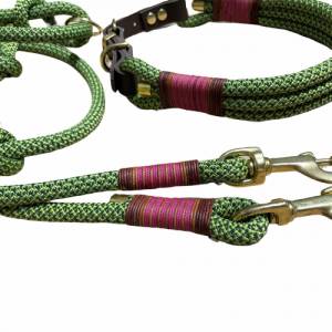 Hundeleine und Halsband Set, beides verstellbar, grün, fuchsia, Leder und Schnalle, 10 mm Stärke von AlsterStruppi Bild 2