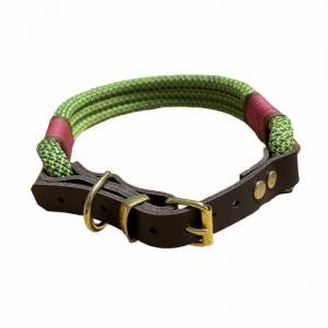 Hundeleine und Halsband Set, beides verstellbar, grün, fuchsia, Leder und Schnalle, 10 mm Stärke von AlsterStruppi Bild 8