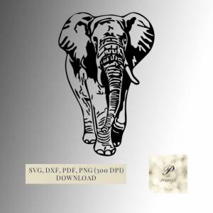 Plotterdatei Elefant SVG Datei für Cricut, Elefanten Design  Digital Download T-Shirt Druck oder Wand und Spiegelsticker Bild 1