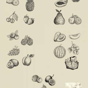 Obst Gravurvorlagen | Vorlagen zum Sofort Download | Bild 4