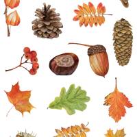 2x Sticker Sheets, Herbst, Eicheln, Kastanien, Blätter, Aufkleber Planner Stickers, Scrapbook Stickers Bild 3